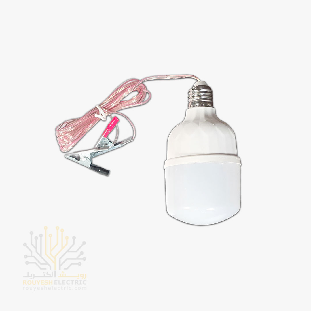 لامپ خودرو 20 وات طرح بالب با سیم 2/50 متری گیره دار